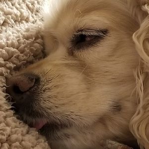 Meet your Posher, Cynthia